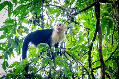 Costa Rica